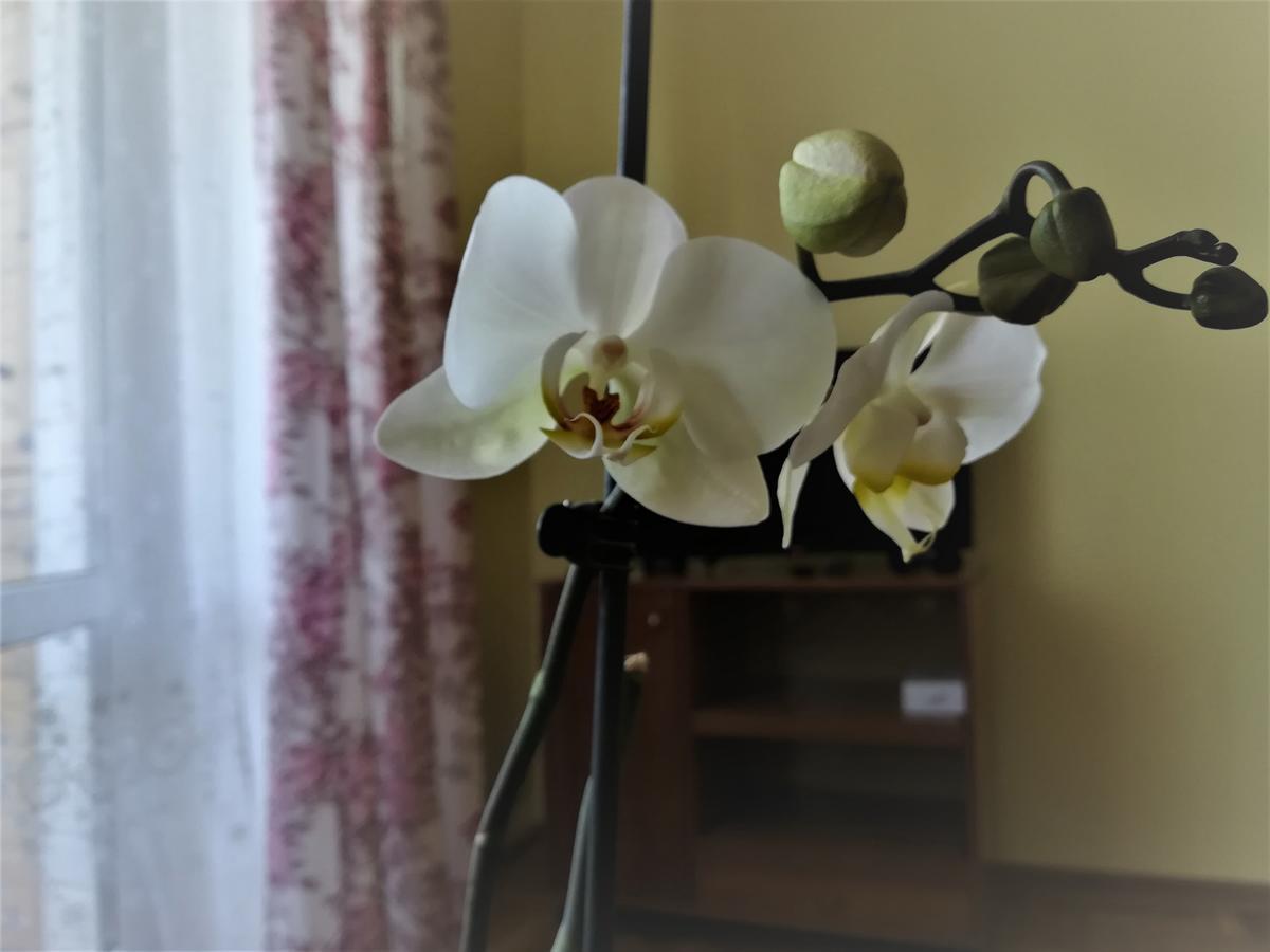 Apartmán Apartament Na Adamkovskoy Brest Exteriér fotografie